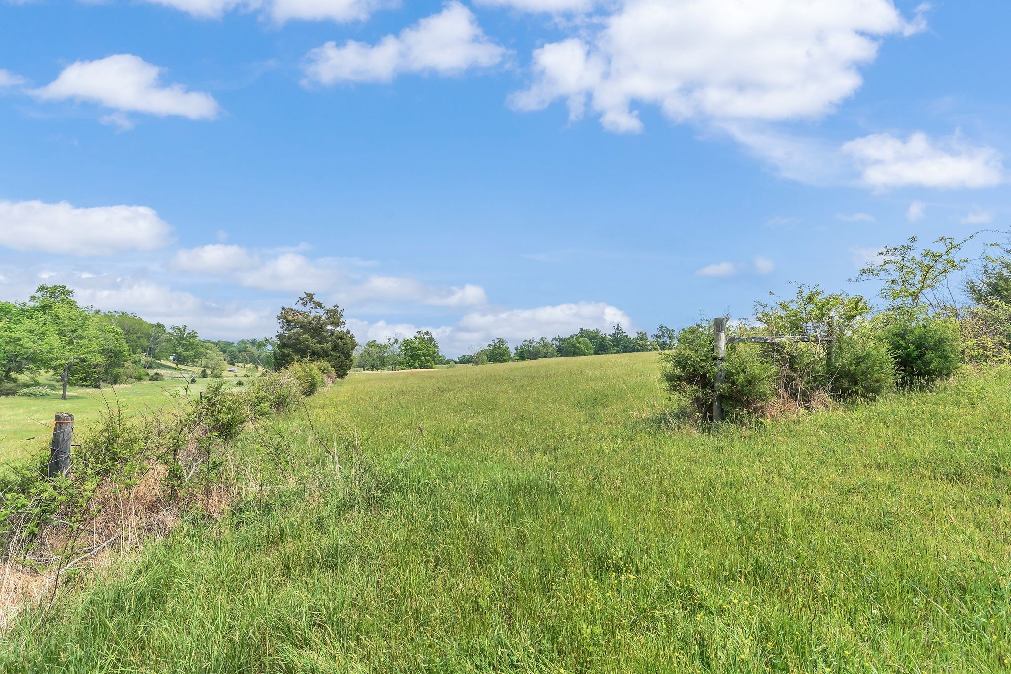 1528 Fairfield Road Westmoreland, TN 37186 - Photo 26 of 41 a view of a lake with a yard