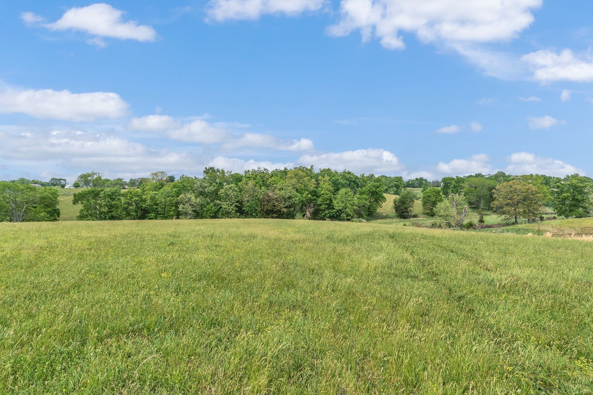 1528 Fairfield Road Westmoreland, TN 37186 - Photo 27 of 41 a view of a big yard with lots of green space and mountain view