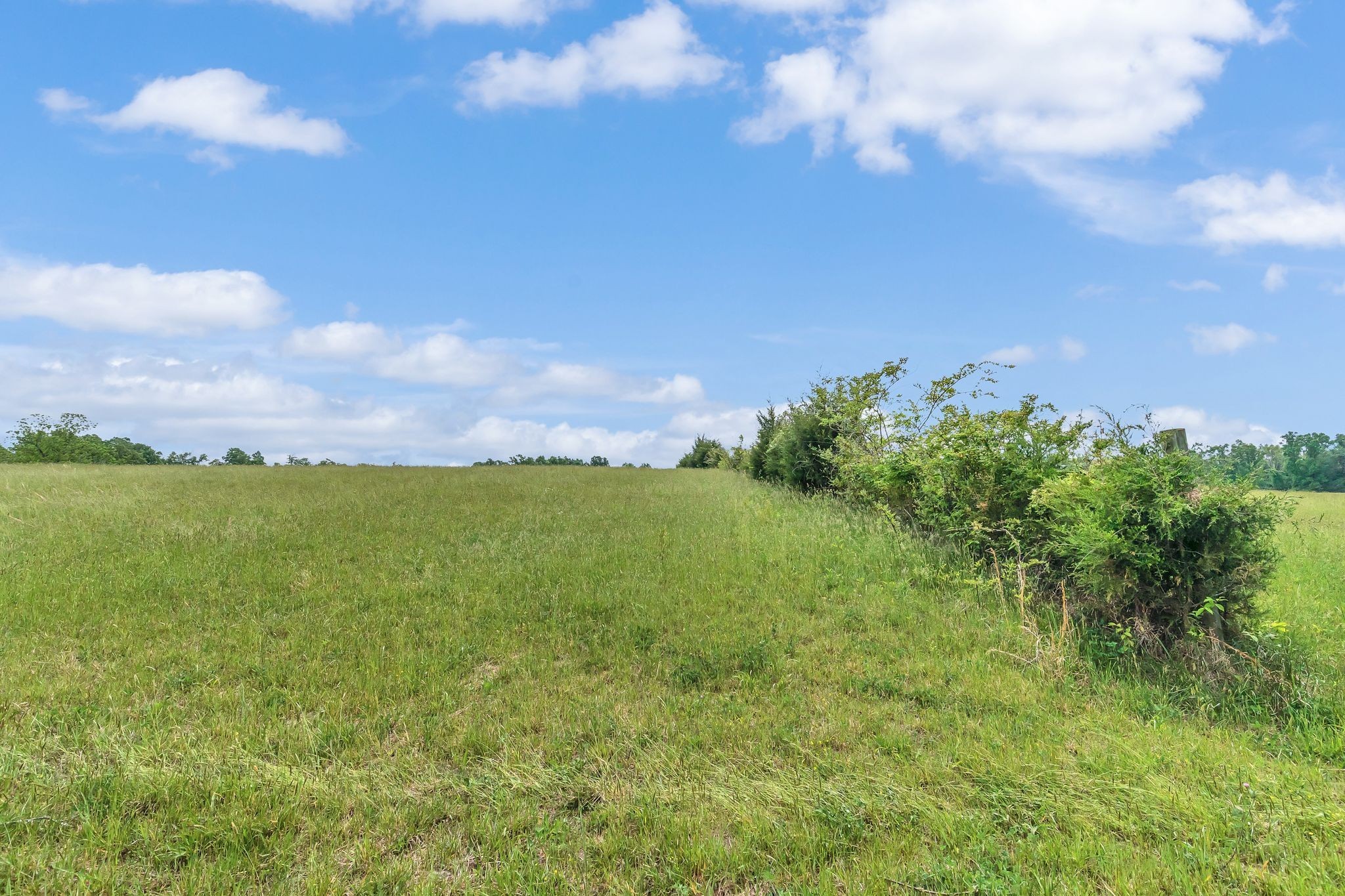 1528 Fairfield Road Westmoreland, TN 37186 - Photo 29 of 41 a view of a city