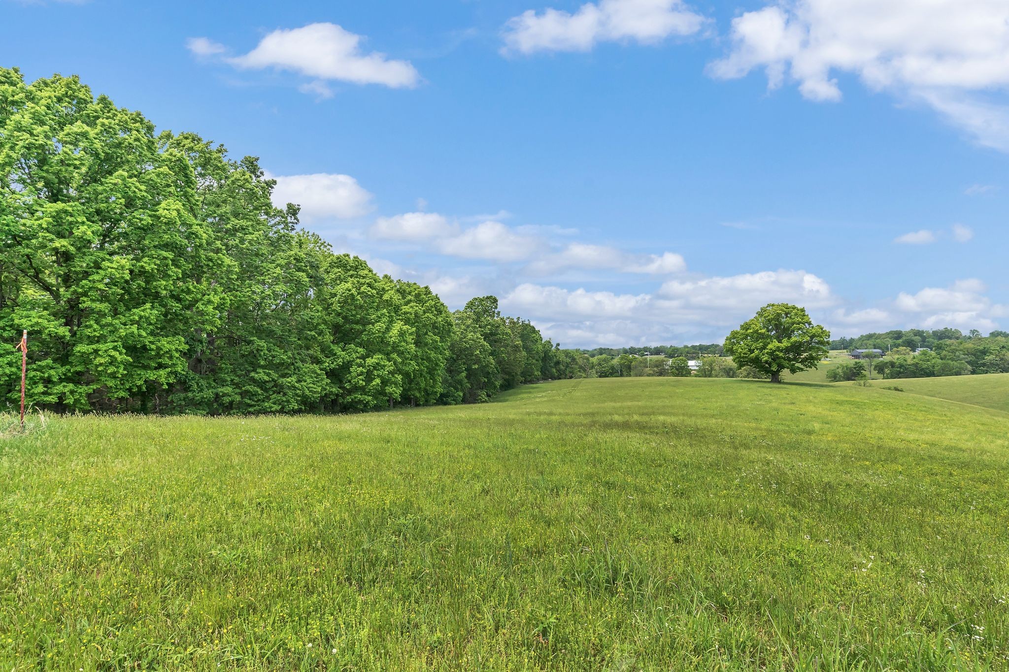 1528 Fairfield Road Westmoreland, TN 37186 - Photo 6 of 41 a view of a field with an trees