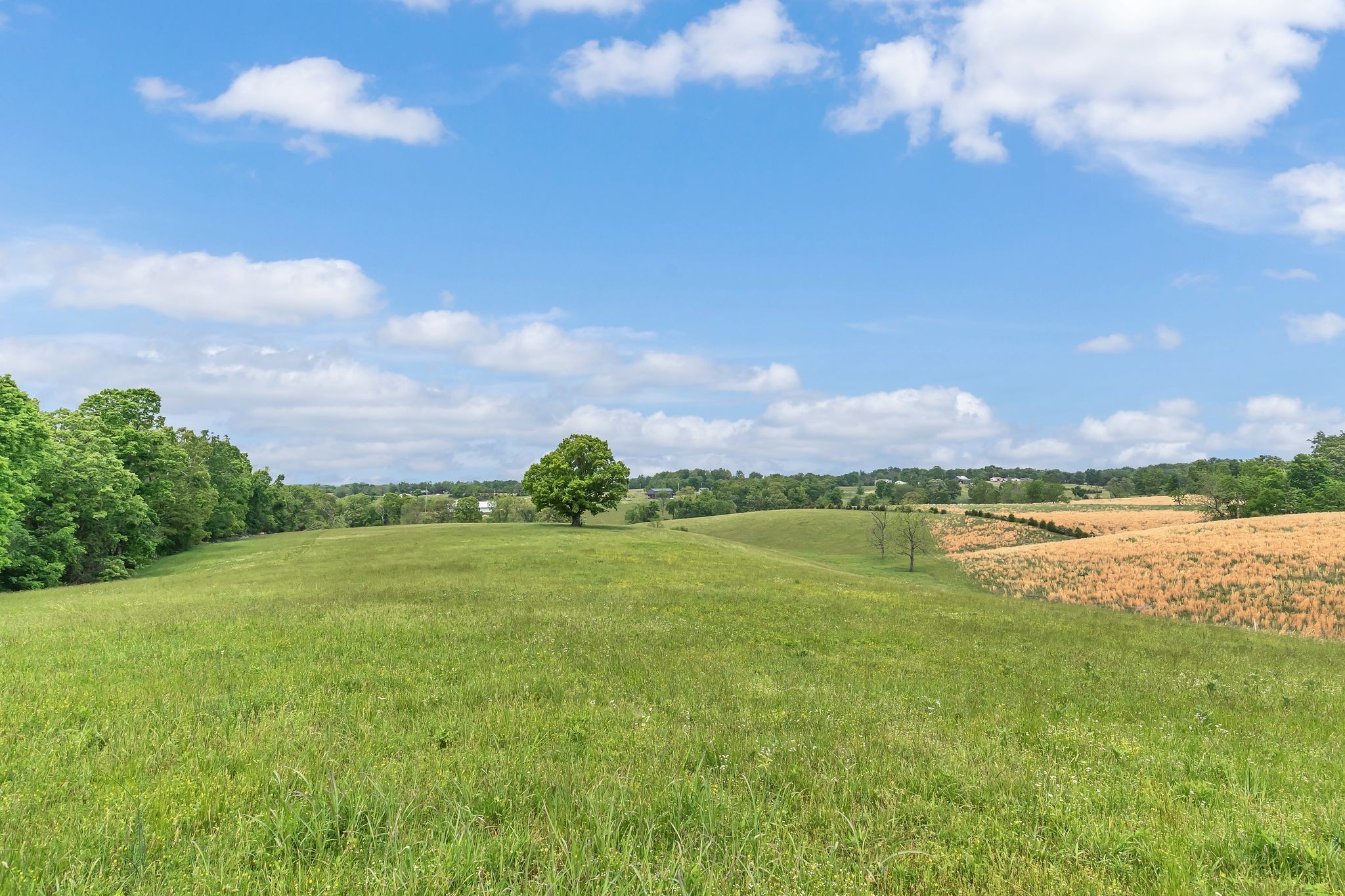 1528 Fairfield Road Westmoreland, TN 37186 - Photo 7 of 41 a view of a lake and a yard