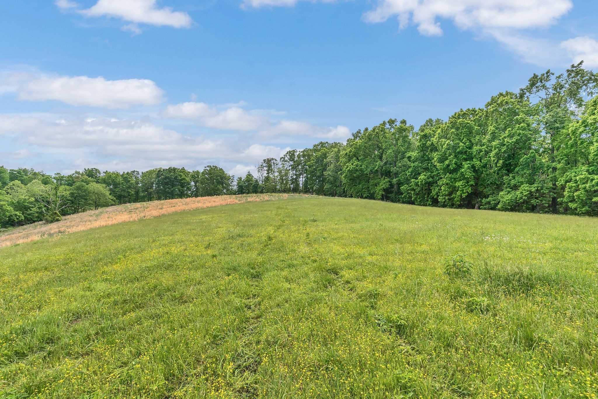 1528 Fairfield Road Westmoreland, TN 37186 - Photo 8 of 41 a view of a field with an trees in the background