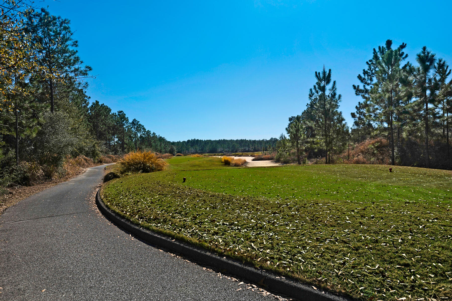 155 Club House Drive East Freeport, FL 32439 - Photo 28 of 34 a view of green field with a tree