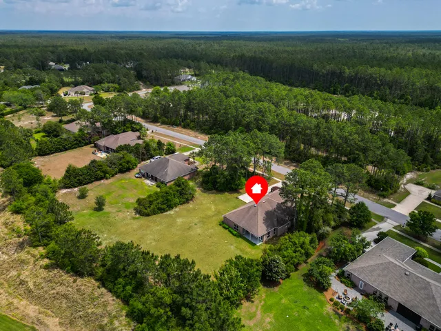 a view of a bunch of flower and some trees
