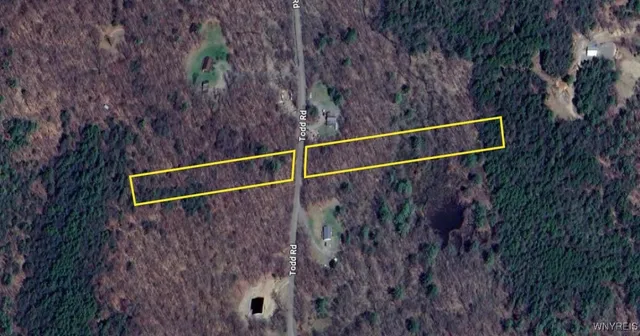 $39,900 | 0 Todd Road, Milford, NY 13807