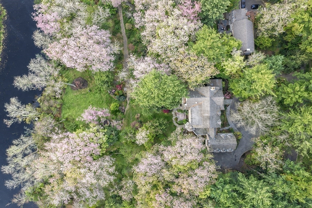 121 Livingston Road Wellesley, MA 02482 - Photo 34 of 35