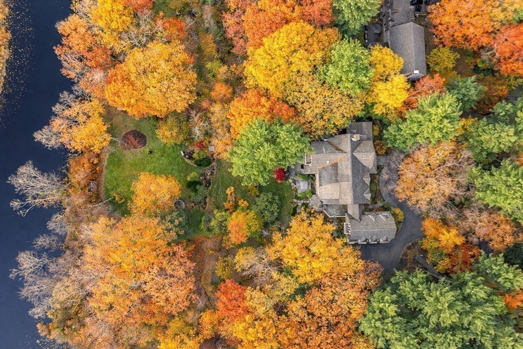 121 Livingston Road Wellesley, MA 02482 - Photo 37 of 38 a backyard of a house with lots of green space