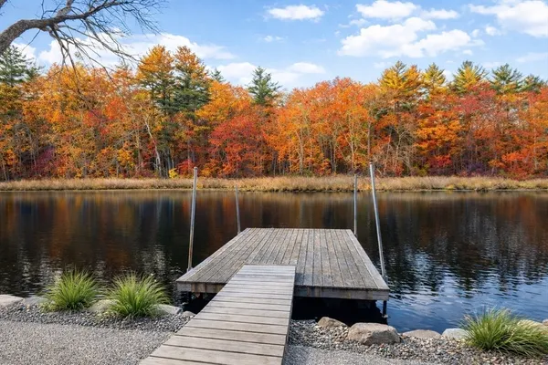a view of a lake with a large trees