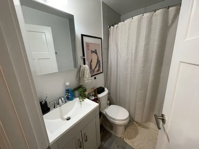 a bathroom with a sink a toilet and shower curtain