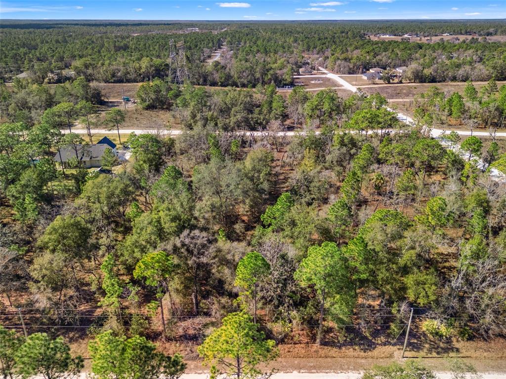 16275 Crane Road Weeki Wachee, FL 34614 - Photo 11 of 13