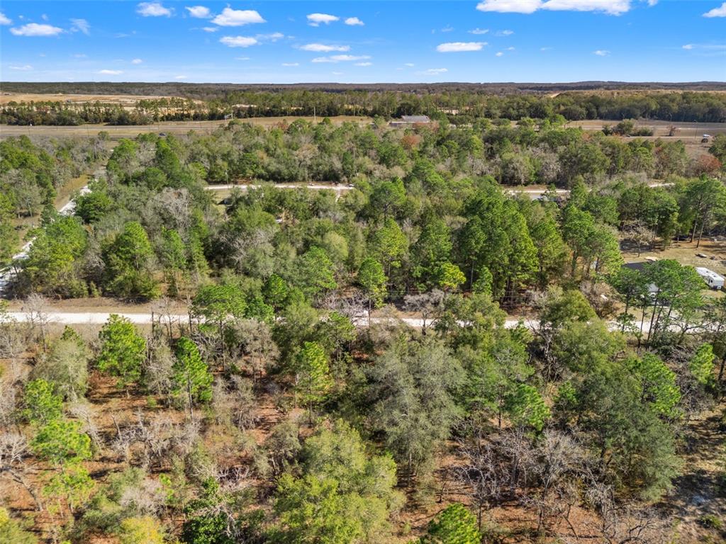 16275 Crane Road Weeki Wachee, FL 34614 - Photo 12 of 13