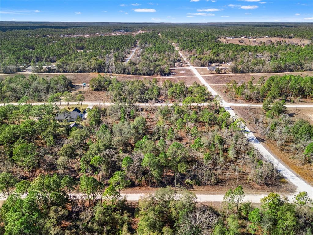 16275 Crane Road Weeki Wachee, FL 34614 - Photo 5 of 13