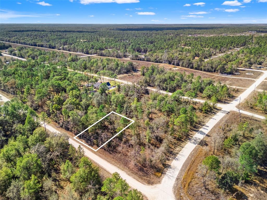 16275 Crane Road Weeki Wachee, FL 34614 - Photo 6 of 13