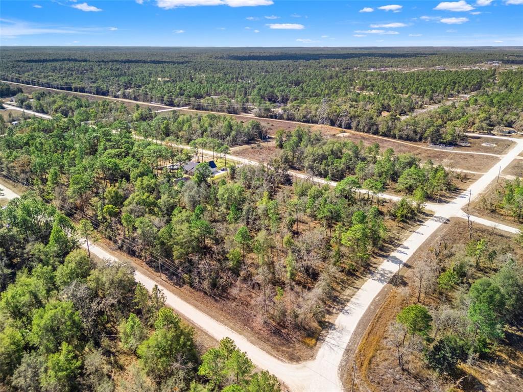 16275 Crane Road Weeki Wachee, FL 34614 - Photo 7 of 13