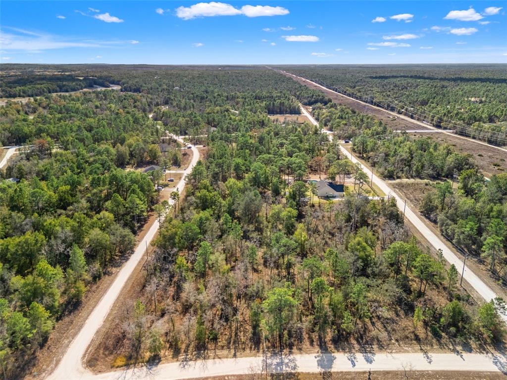 16275 Crane Road Weeki Wachee, FL 34614 - Photo 8 of 13