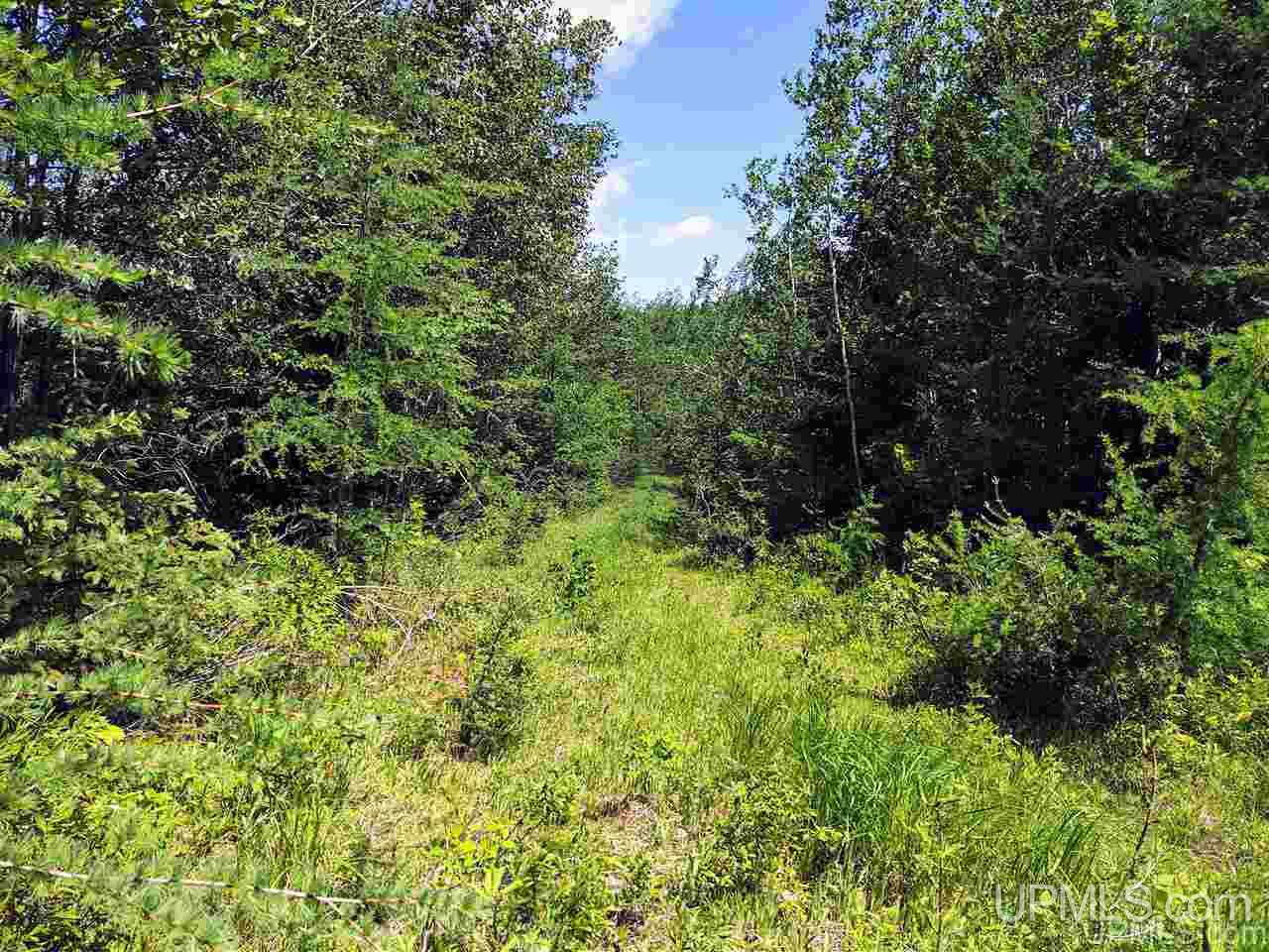 Tbd Co Rd Fp Republic, MI 49879 - Photo 23 of 33