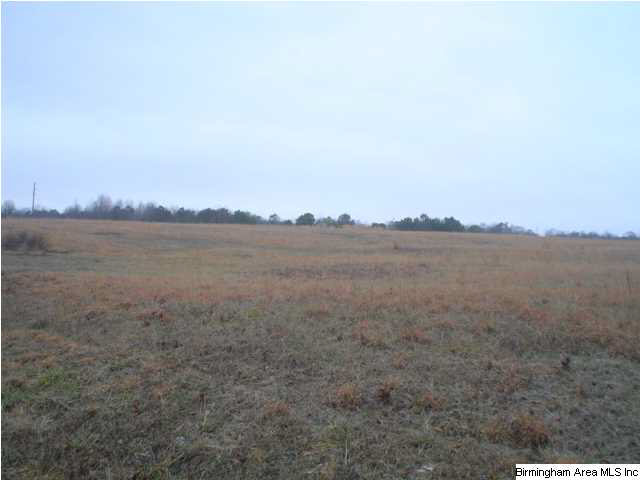 Posey Road, Unit 87 Blountsville, AL 35031 - Photo 11 of 24 Gallery Image 11