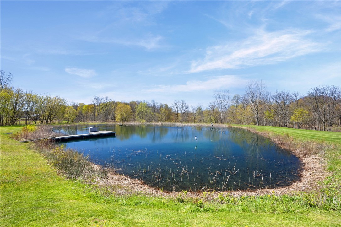 1113 Erie Street Road Macedon, NY 14502 - Photo 47 of 50