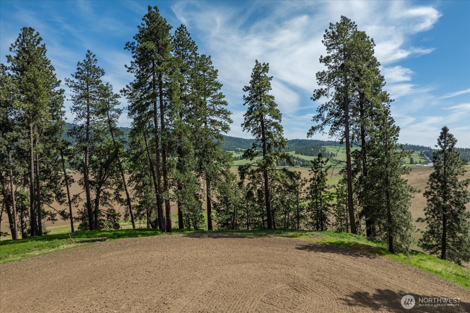 -xxx South Jackson Road, Unit LOT 17 Mica, WA 99023 - Photo 20 of 40 a view of a field with trees in the background