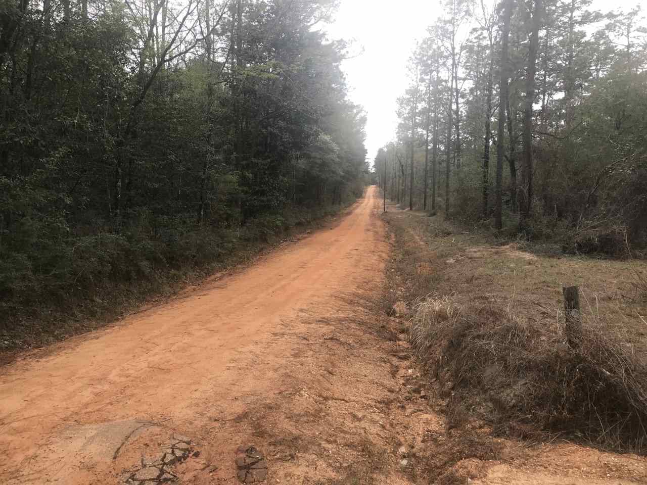 0 Pine Treat Road Bay Minette, AL 36507 - Photo 5 of 6 West View of Pinetreat Rd