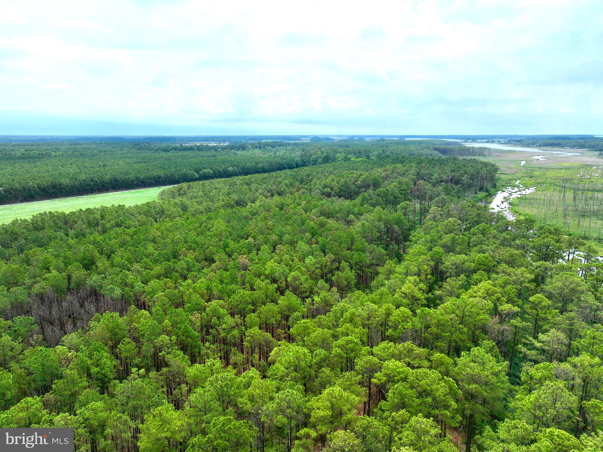 0 Hooper Neck Road Madison, MD 21648 - Photo 29 of 129