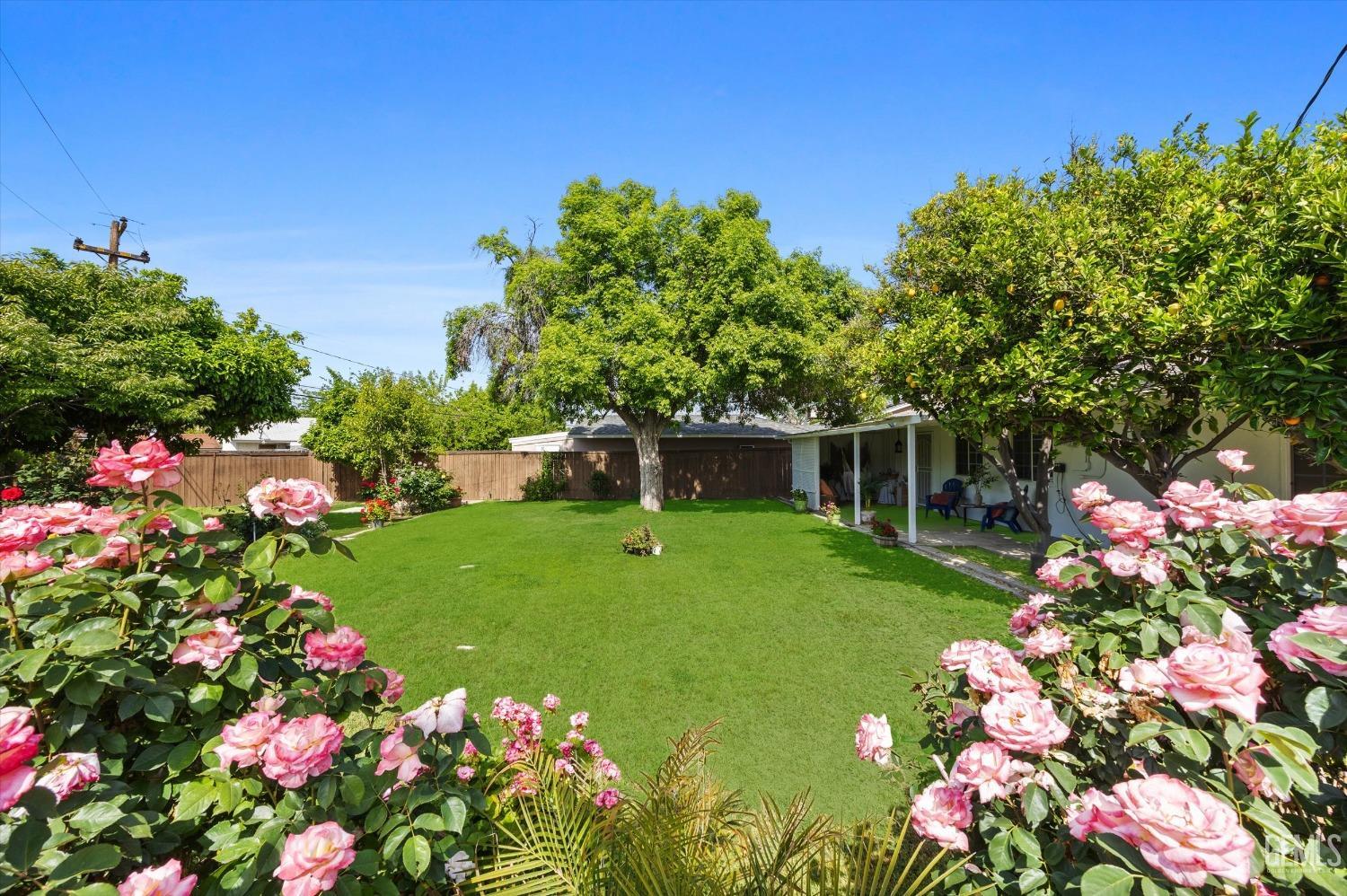 Undisclosed Address Bakersfield, CA 93309 - Photo 37 of 47 a view of a flower in a garden