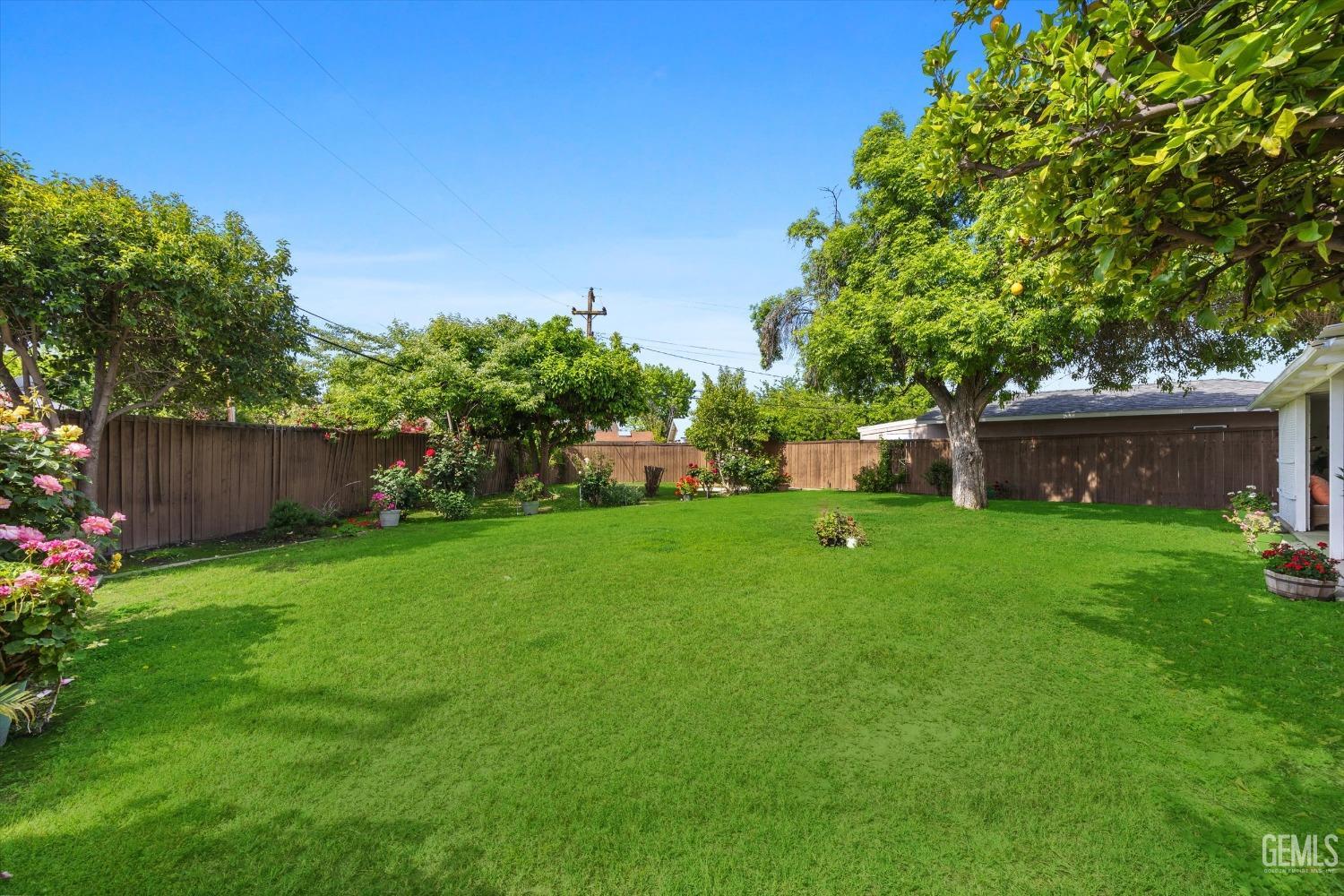 Undisclosed Address Bakersfield, CA 93309 - Photo 38 of 47 a view of yard with grass and a trees