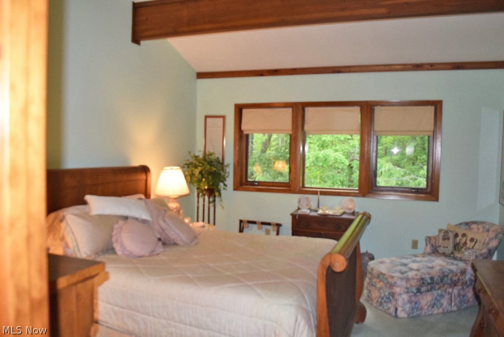 14875 County Line Road Chagrin Falls, OH 44022 - Photo 22 of 29
