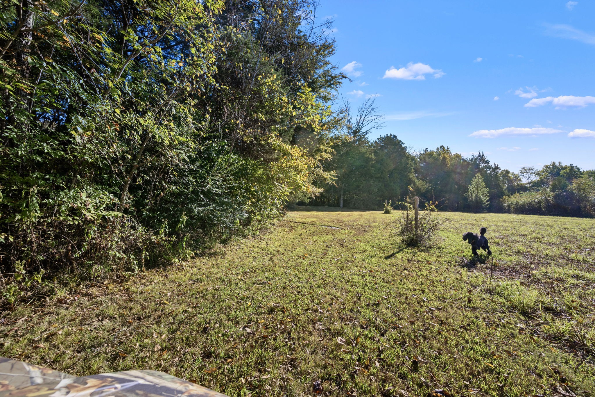 2399 Thompson Road Murfreesboro, TN 37128 - Photo 46 of 69 Gallery Image 46