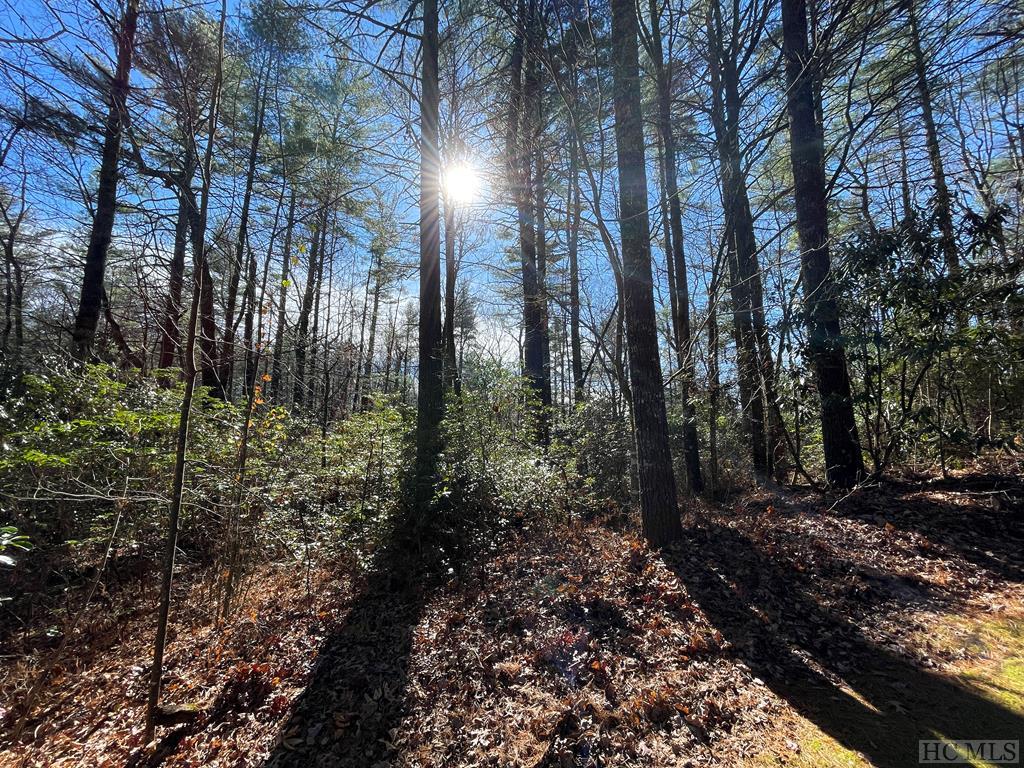 Lot 7 Upper Whitewater Road Sapphire, NC 28774 - Photo 7 of 13 Gallery Image 7