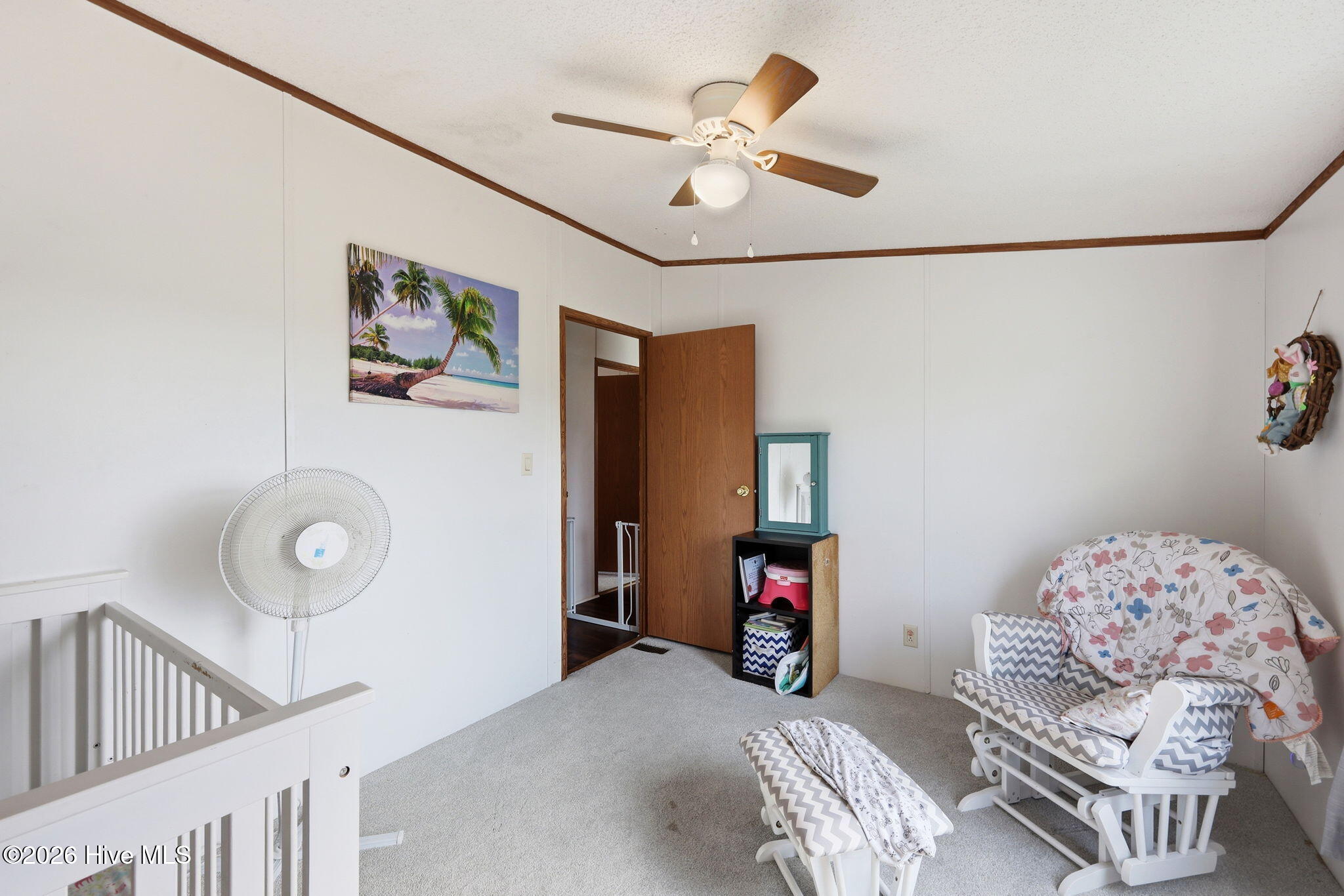252 Heath Swamp Road Cove City, NC 28523 - Photo 32 of 55