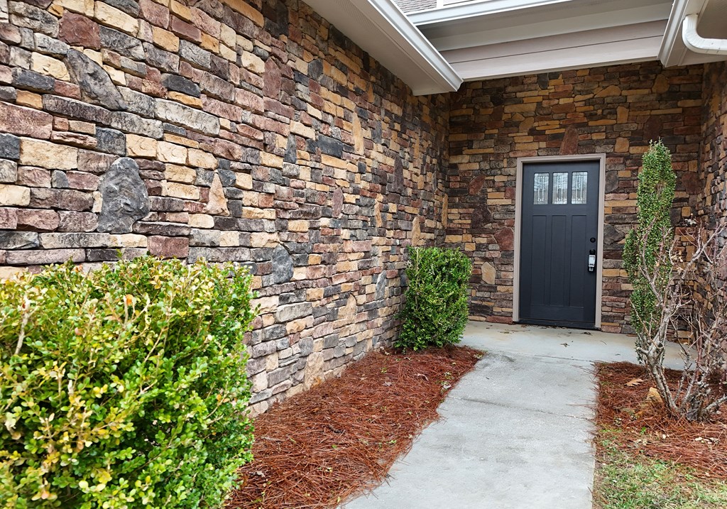 96 Lindsey Lane Blue Ridge, GA 30513 - Photo 3 of 27