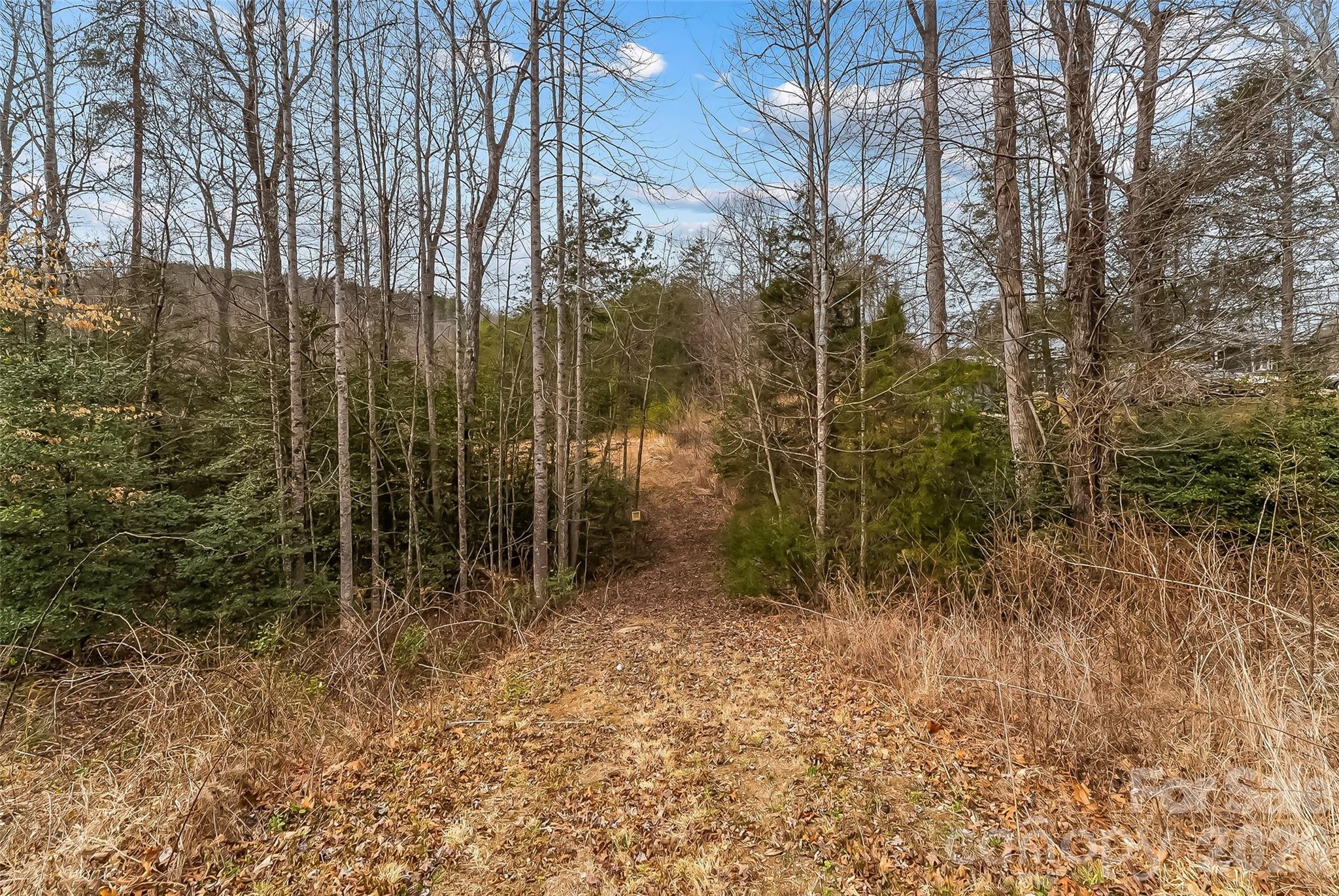 1350 Lavender Road Old Fort, NC 28762 - Photo 11 of 19