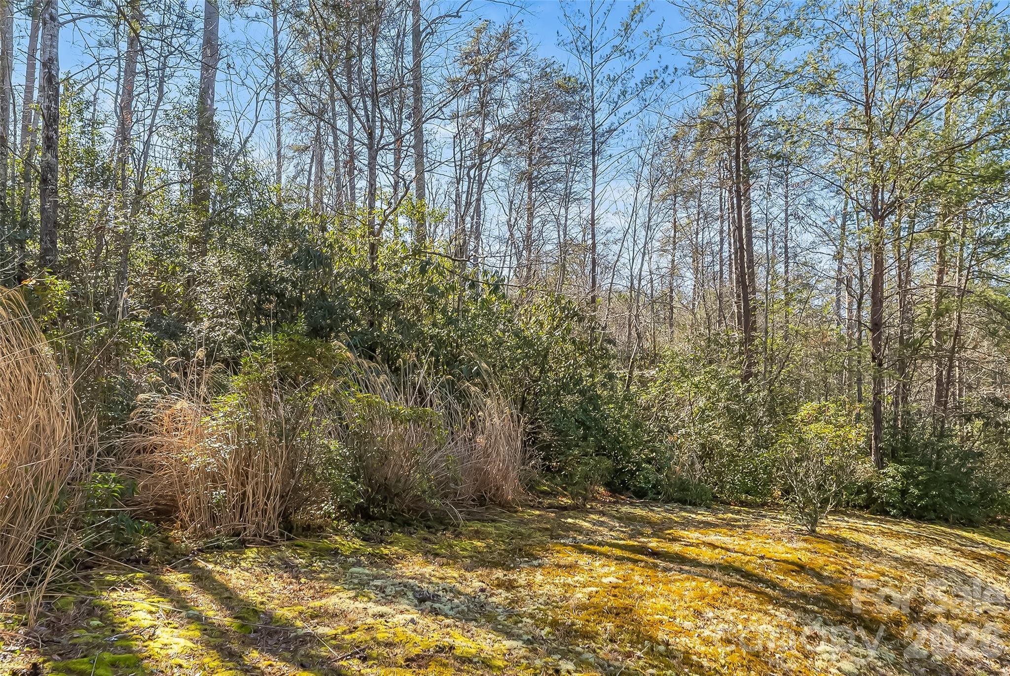 1350 Lavender Road Old Fort, NC 28762 - Photo 14 of 19