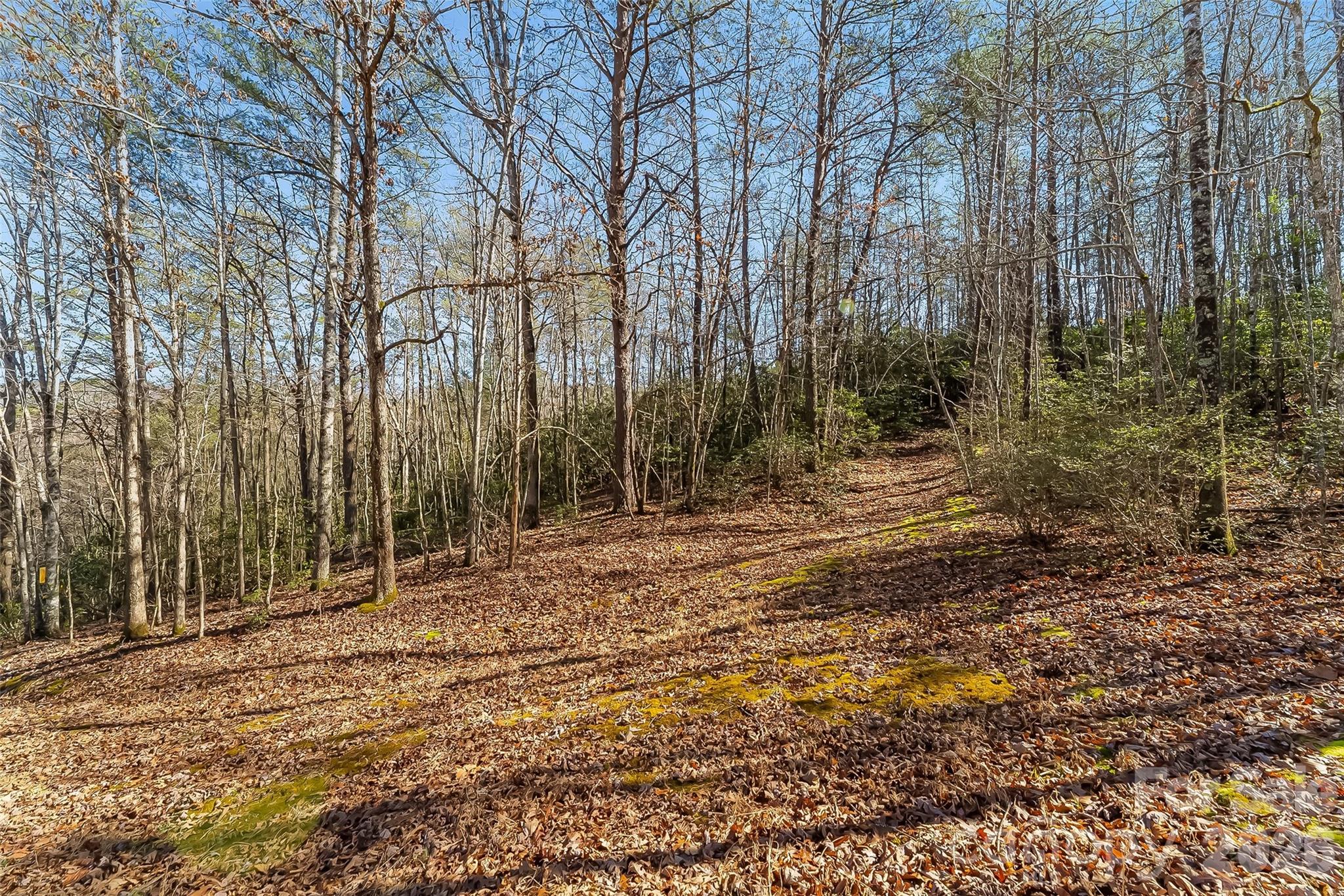 1350 Lavender Road Old Fort, NC 28762 - Photo 19 of 19