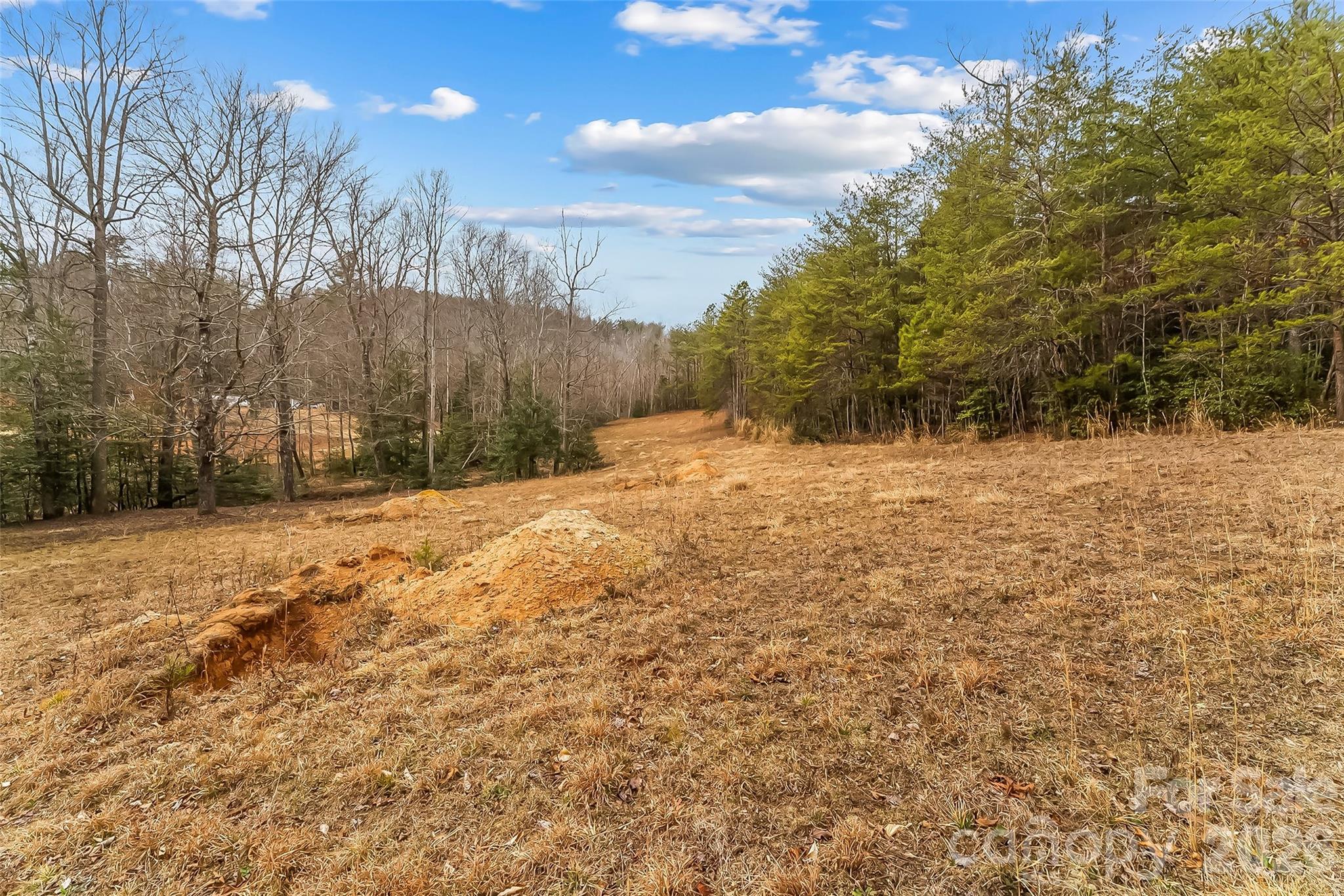 1350 Lavender Road Old Fort, NC 28762 - Photo 7 of 19