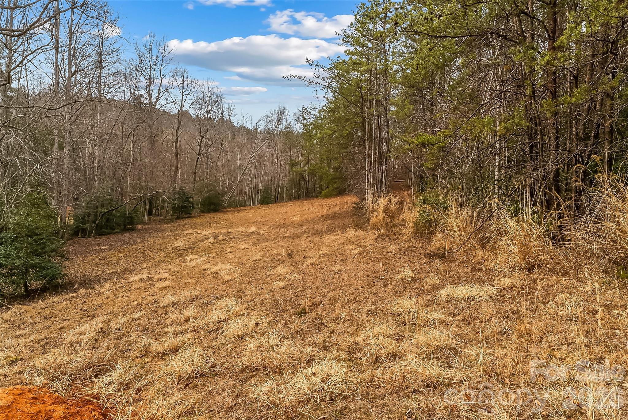 1350 Lavender Road Old Fort, NC 28762 - Photo 8 of 19