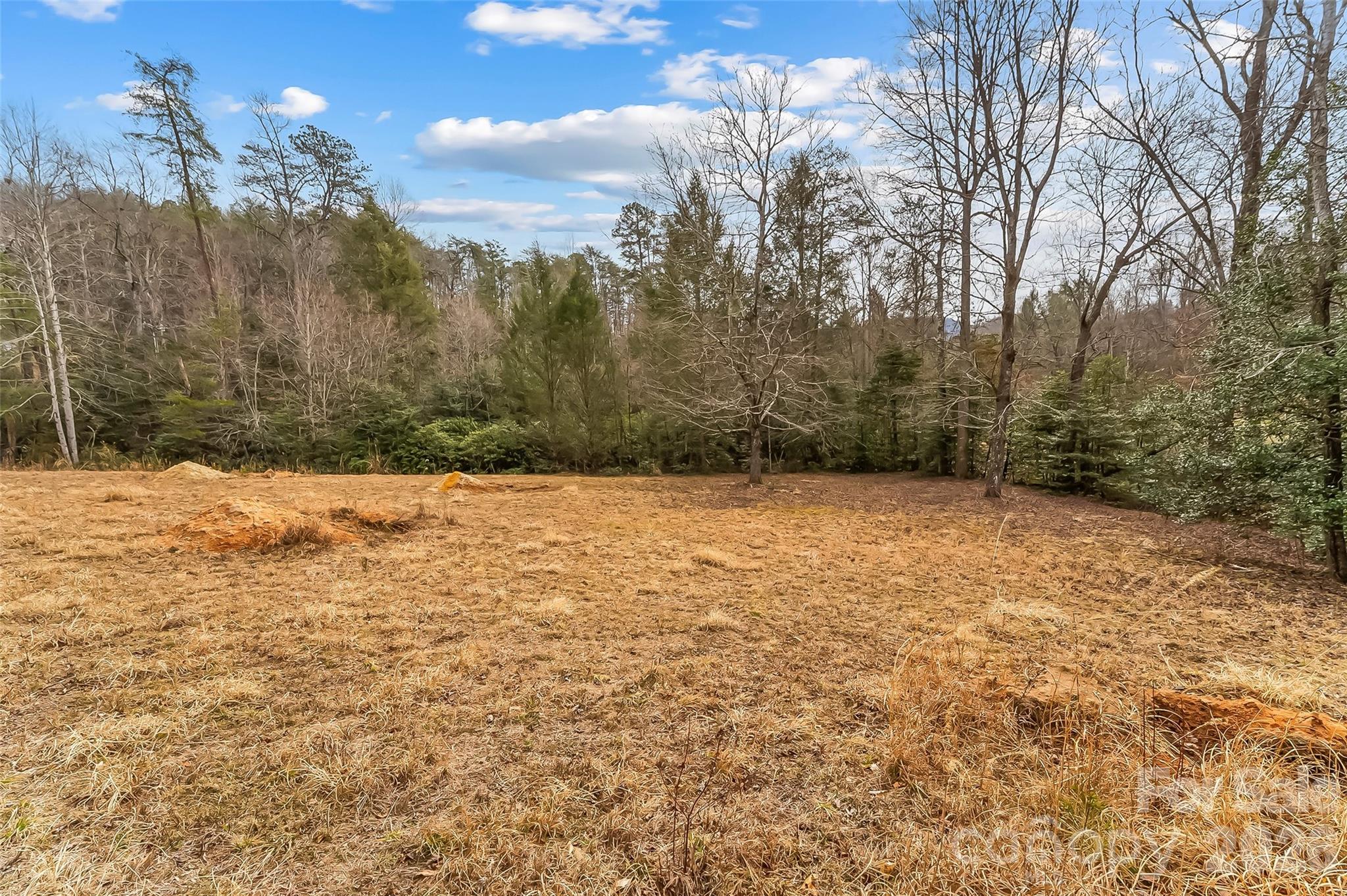 1350 Lavender Road Old Fort, NC 28762 - Photo 9 of 19