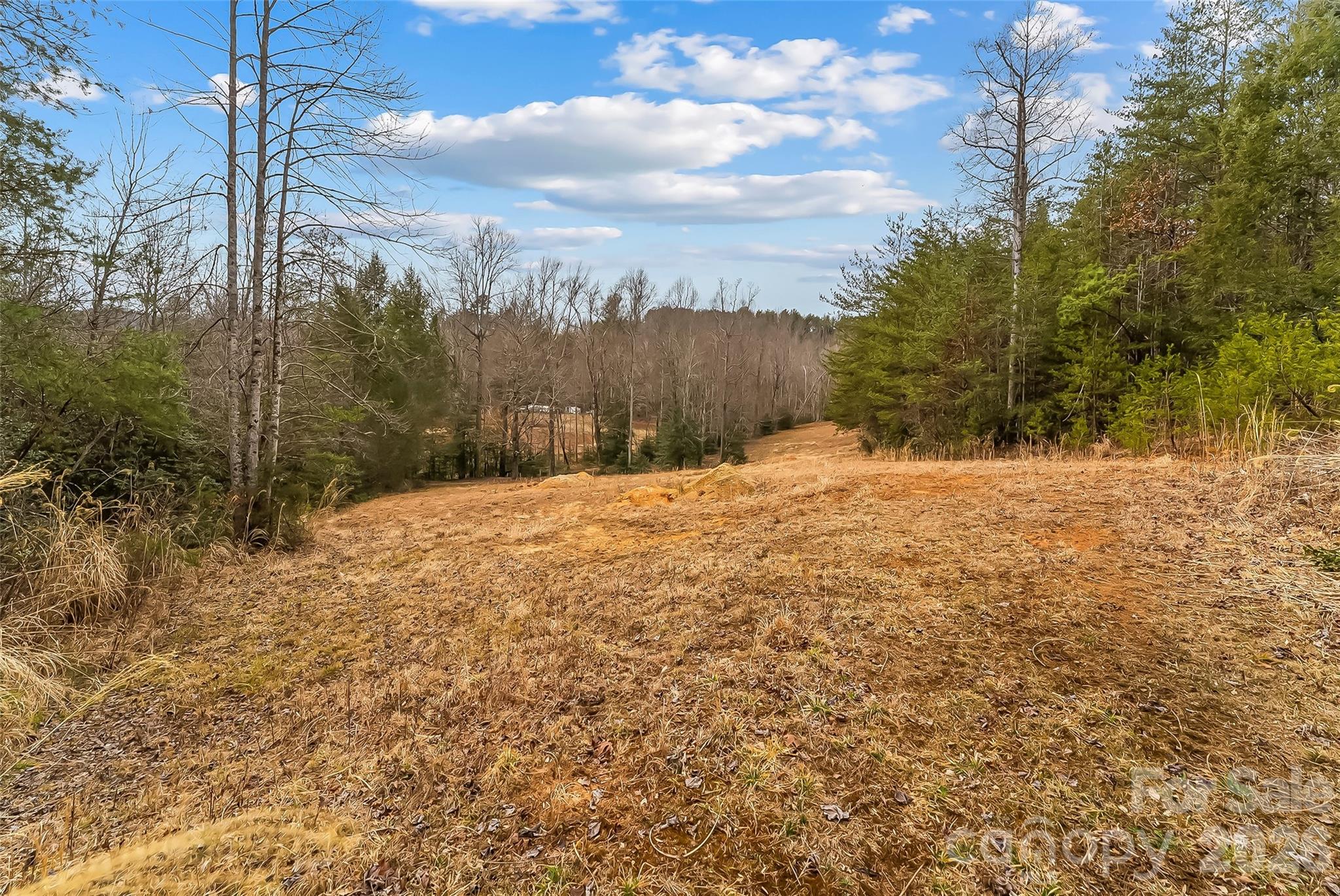 1350 Lavender Road Old Fort, NC 28762 - Photo 10 of 19