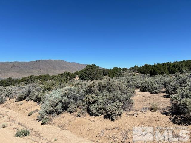 2695 Argonaught Way Reno, NV 89506 - Photo 5 of 6 a view of a dry yard