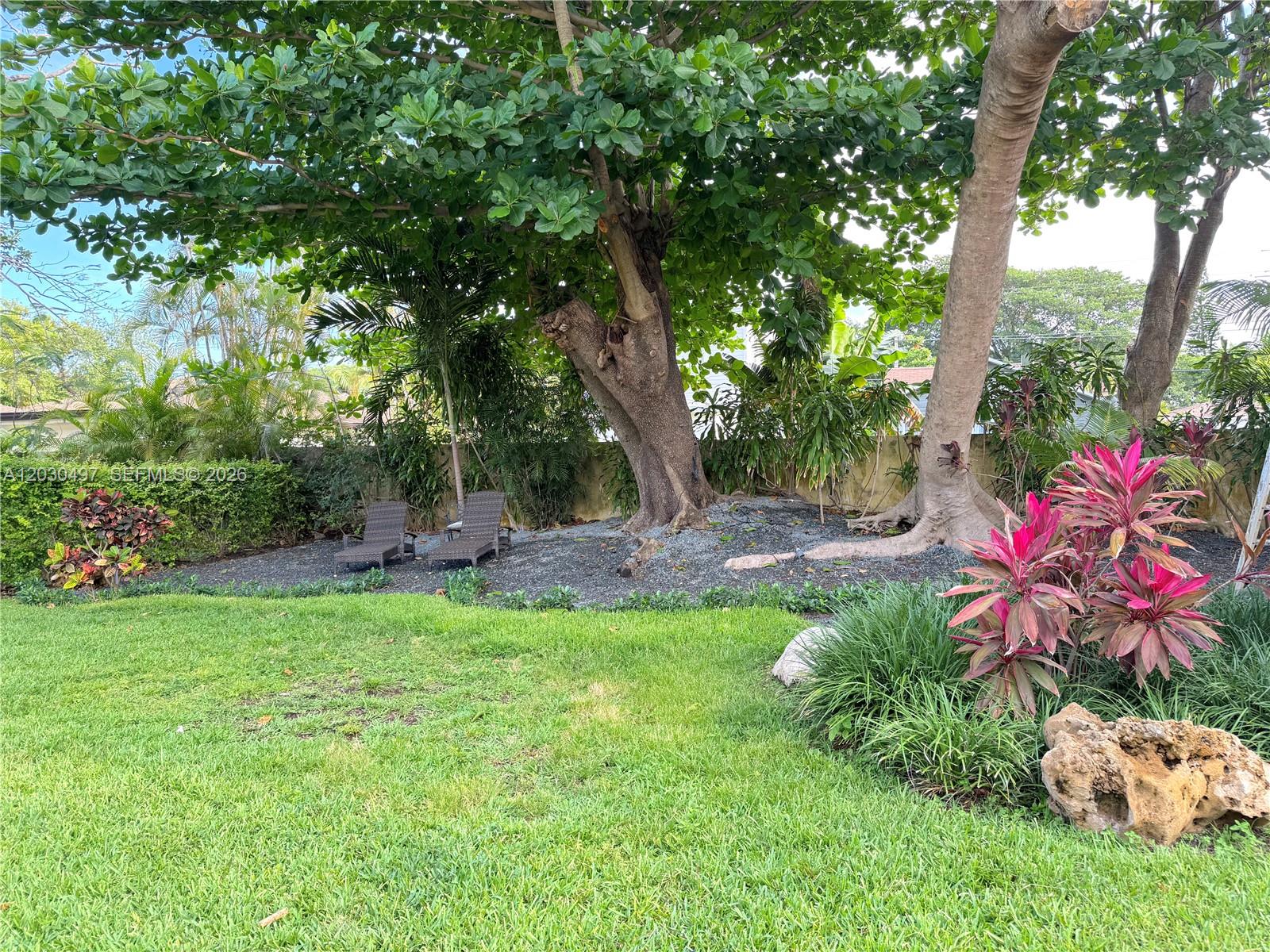 3375 Franklin Avenue, Unit D Miami, FL 33133 - Photo 27 of 29 a view of a backyard with large trees and plants