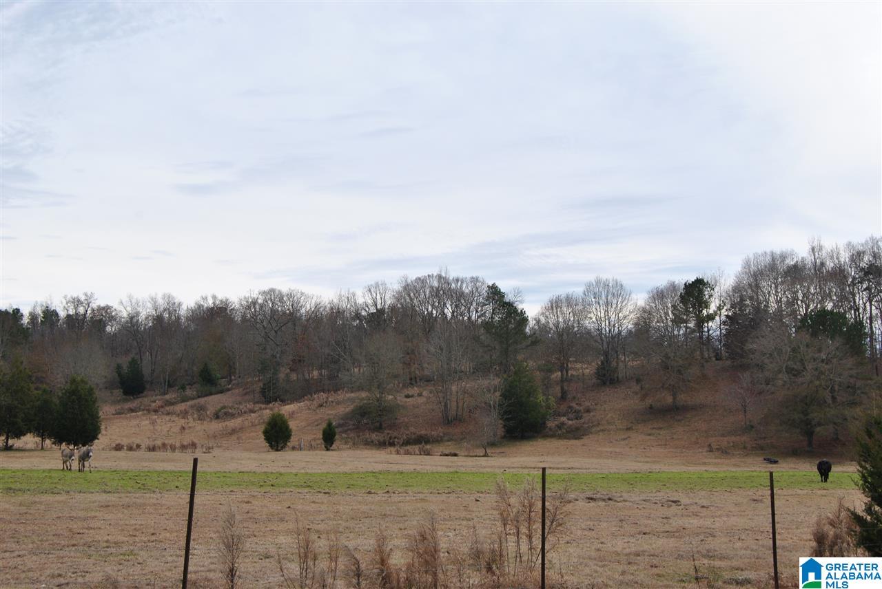 1153 Meadow River Road Talladega, AL 35160 - Photo 7 of 28