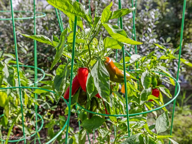 $2,400 | 302 Breckenridge Lane, New Bern, NC 28560