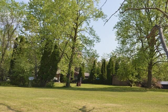 6157 West Stoll Road Lansing, MI 48906 - Photo 51 of 57 Yard view