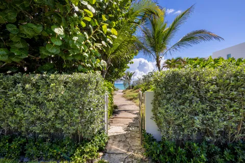 a view of a yard with plants