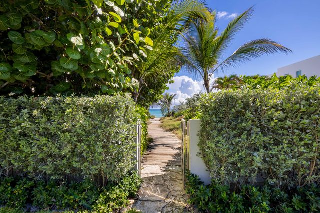 a view of a yard with plants