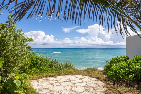a view of a backyard of the house