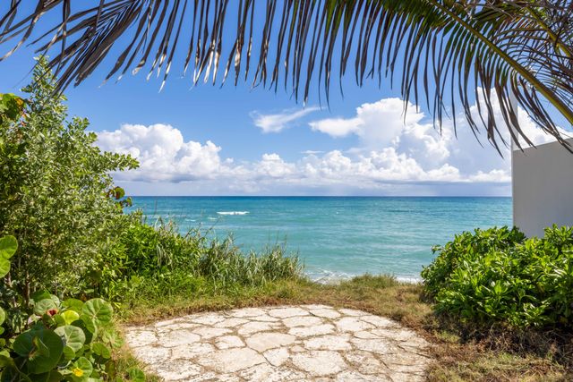 a view of a backyard of the house