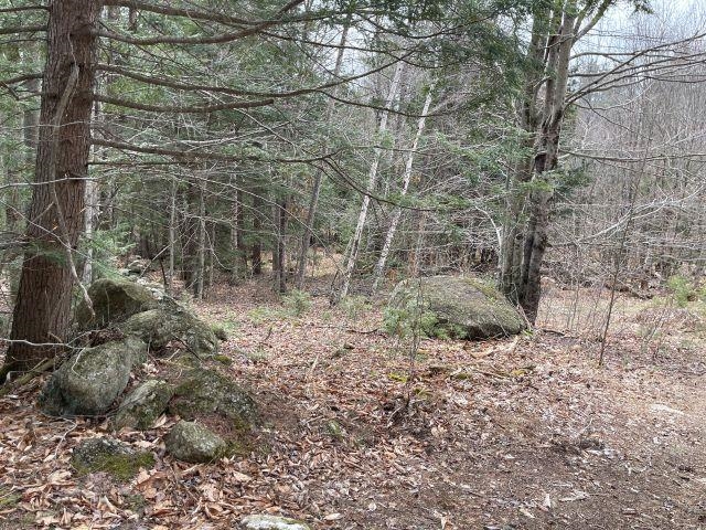241 Smith Pond Road Washington, NH 03280 - Photo 27 of 33