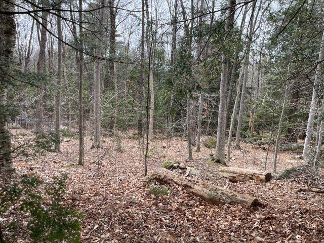 241 Smith Pond Road Washington, NH 03280 - Photo 28 of 33